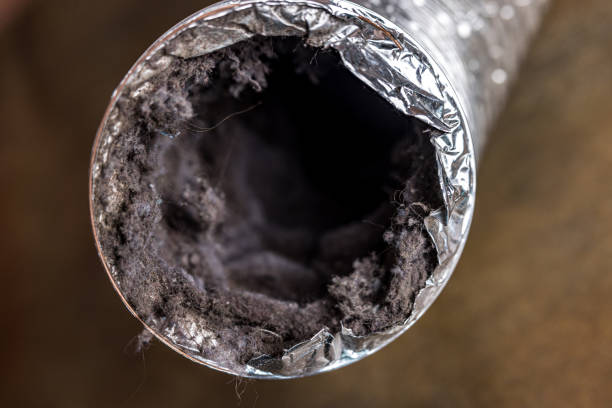 Best Air Duct Cleaning Near Me  in Northfield, IL